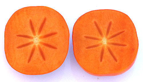 Asian Persimmon: Diospyros kaki - fruit sliced