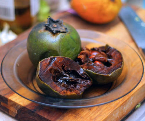 Critical Miami, CC BY-SA 2.0 httpscreativecommons.orglicensesby-sa2.0, via Wikimedia Commons