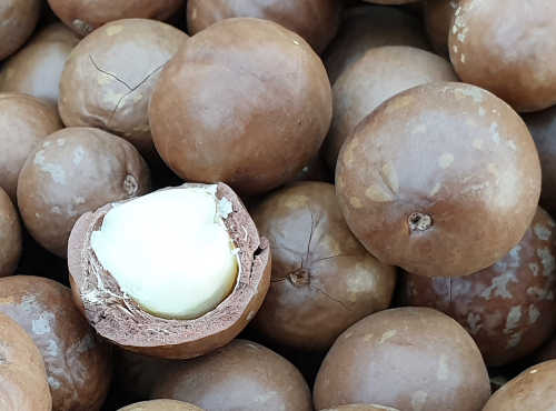 By Emőke Dénes - kindly granted by the author, CC BY-SA 4.0, httpscommons.wikimedia.orgwindex.phpcurid-88822502