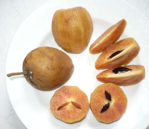 Manilkara zapota: Sapodilla cut fruit