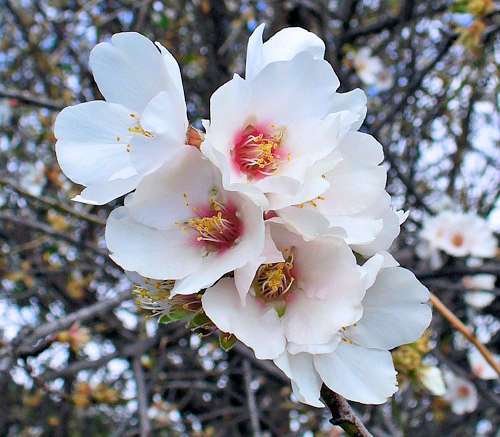 By H. Zell - Own work, CC BY-SA 3.0, httpscommons.wikimedia.orgwindex.phpcurid-10939915