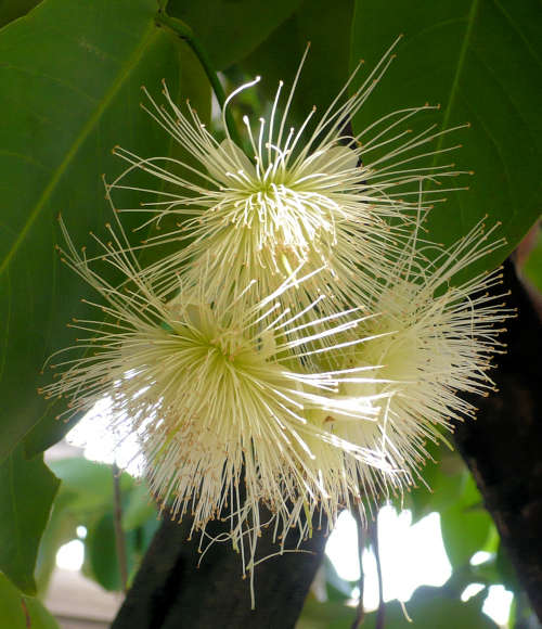 By Prenn - Own work, CC BY-SA 3.0, httpscommons.wikimedia.orgwindex.phpcurid-15840394